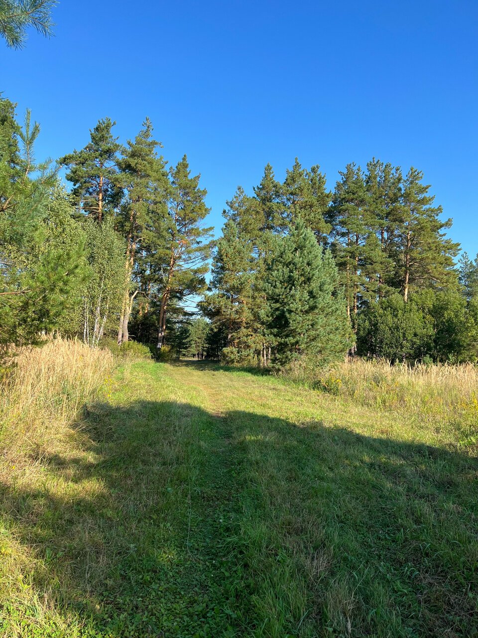 Отель Экопарк Поляны Рязань-125