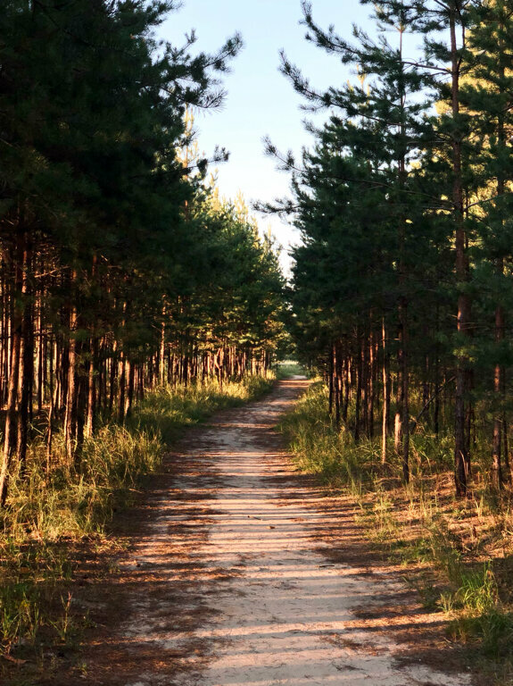 Отель Экопарк Поляны Рязань