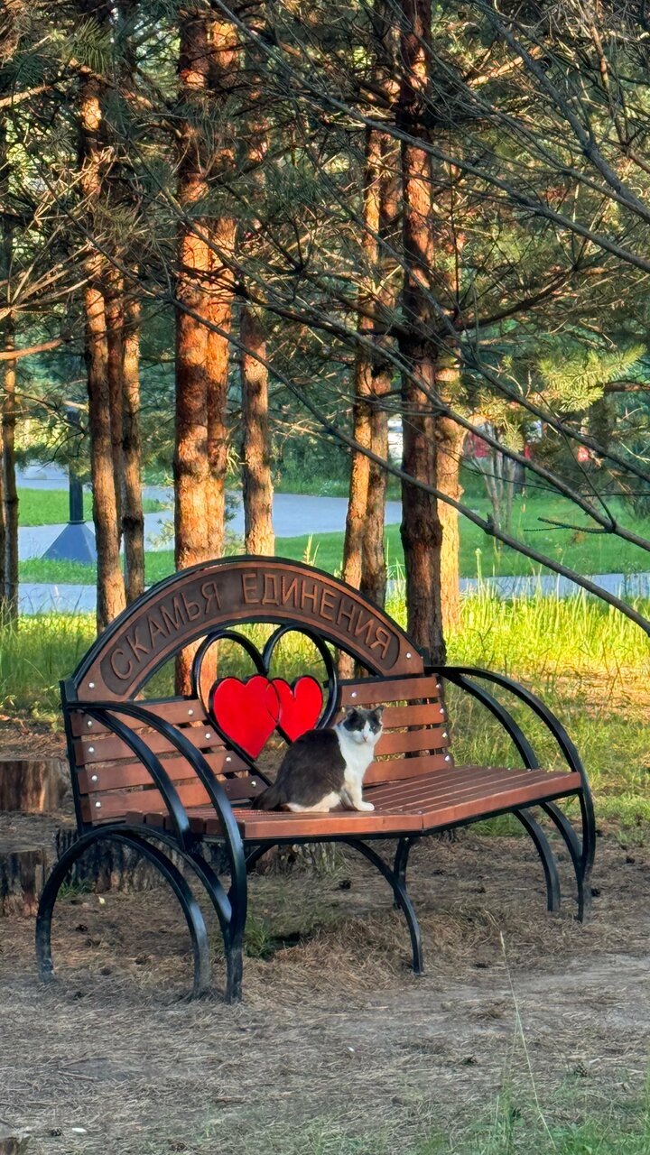 Отель Экопарк Поляны Рязань-20