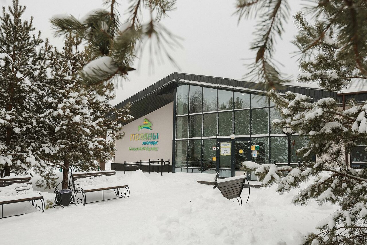 Отель Экопарк Поляны Рязань-40