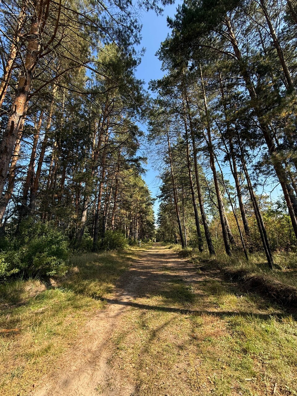 Отель Экопарк Поляны Рязань-128