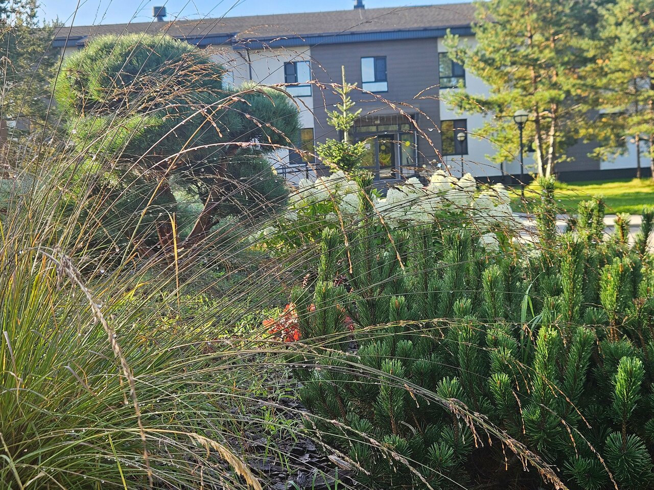 Отель Экопарк Поляны Рязань-122