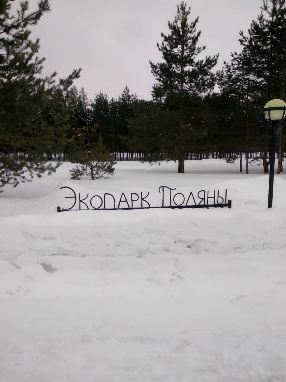 Отель Экопарк Поляны Рязань-28