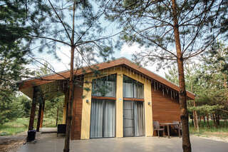 Отель Экопарк Поляны Рязань Апартаменты-1