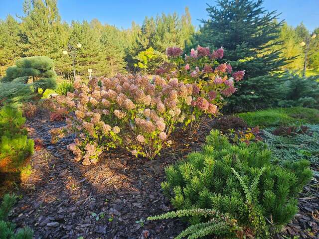 Отель Экопарк Поляны Рязань-117