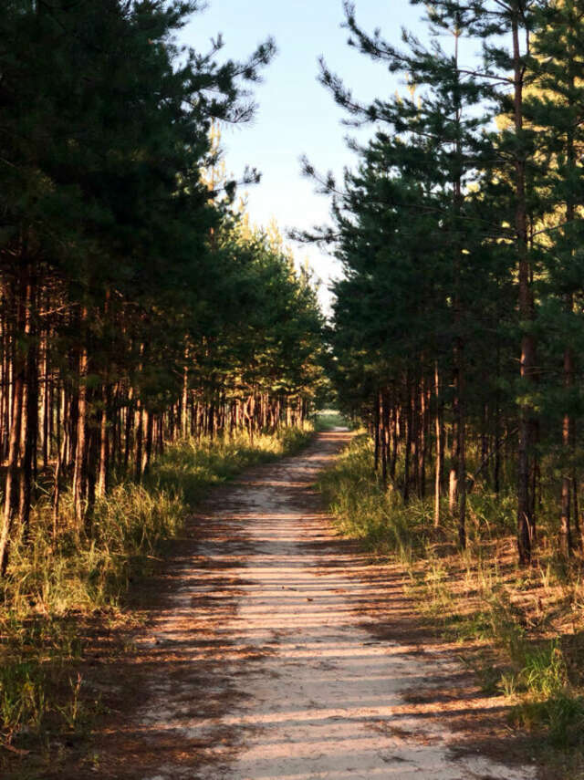 Отель Экопарк Поляны Рязань-28