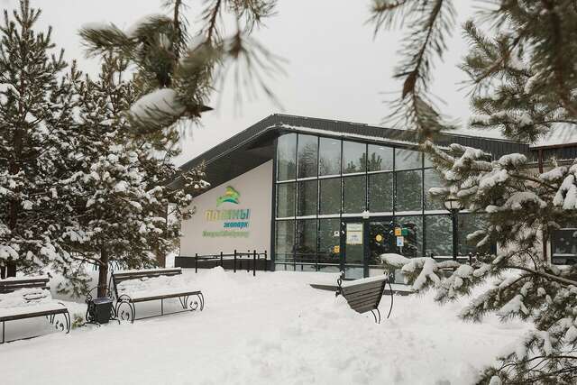 Отель Экопарк Поляны Рязань-39