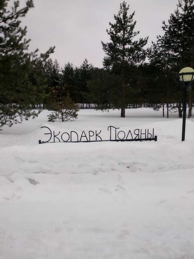 Отель Экопарк Поляны Рязань-27